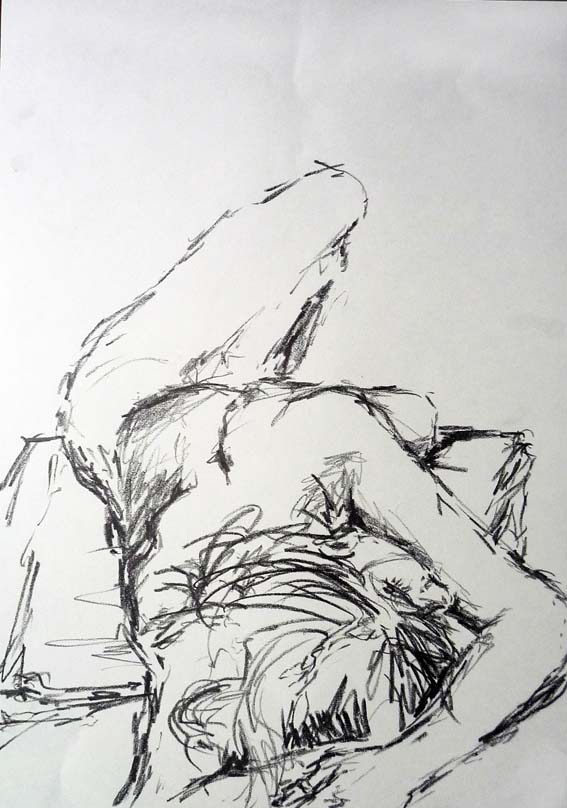 mareike